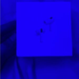 Apple AirPods Pro with Wireless Charging Case